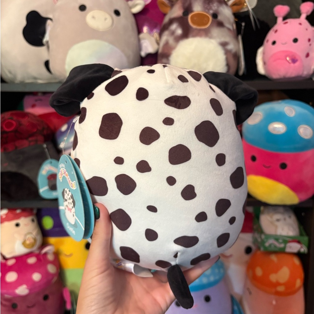 Dustin the dalmation dog squishmallow with pink bow tie 8in NWT - Picture 3 of 5